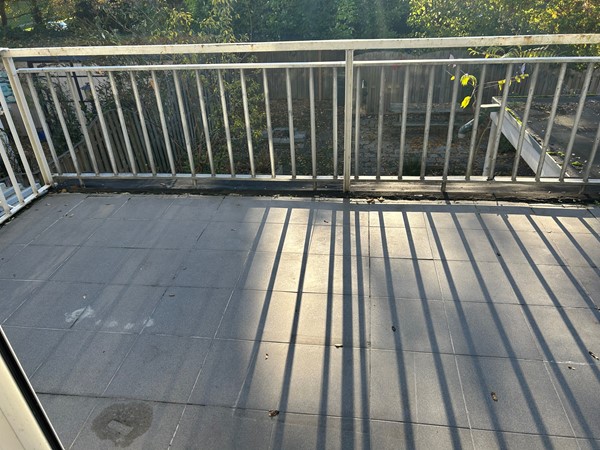 Marshallsingel 23020.JPG